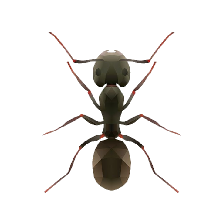 Ant Vector Png