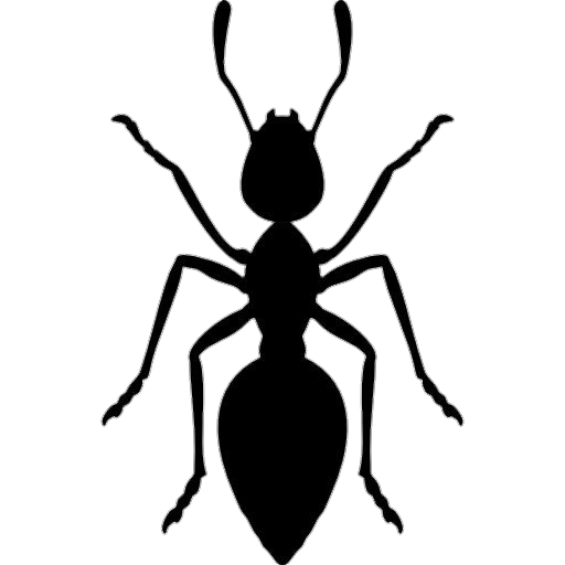 Ant Silhouette Png