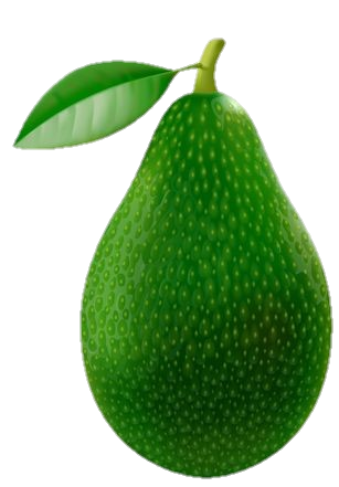 Full Green Avocado clipart PNG