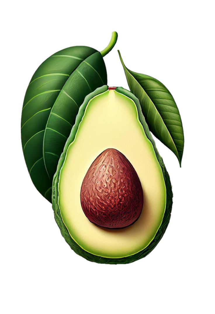 Avocado-11