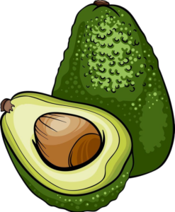 Avocado Clipart PNG
