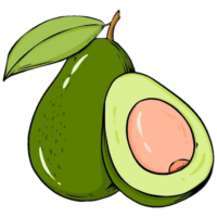 Avocado Png Image
