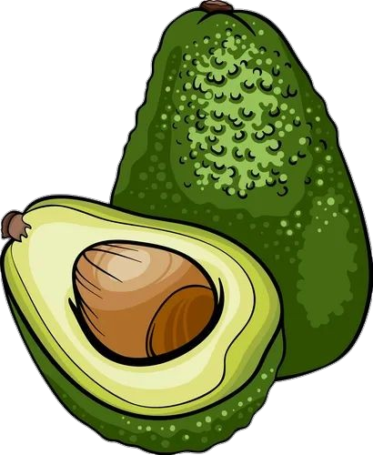 Avocado-19