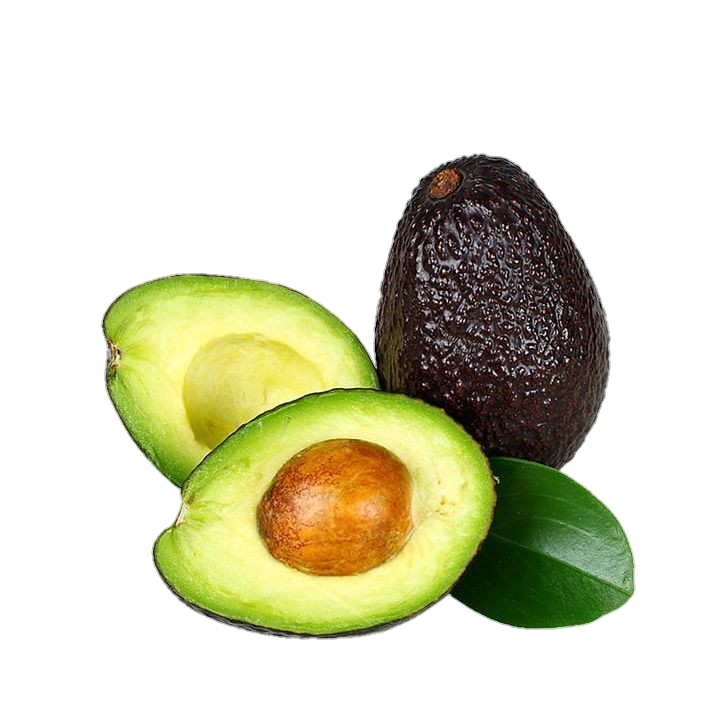 Avocado-2