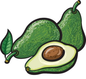 Avocado Fruit Clipart PNG
