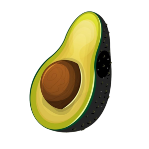Half Avocado Clipart PNG