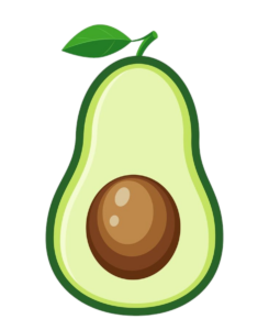 Avocado illustration PNG