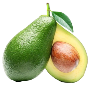 Avocado Fruit PNG