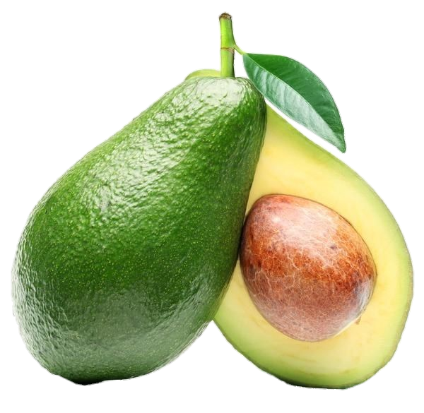 Avocado-4