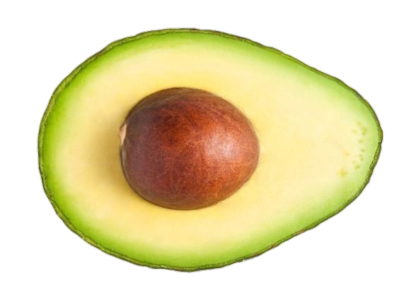 Avocado-5