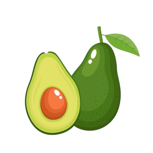 Avocado Illustration PNG