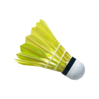 Badminton Png Image