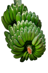 Banana129