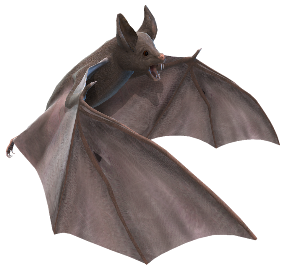 Bat-12