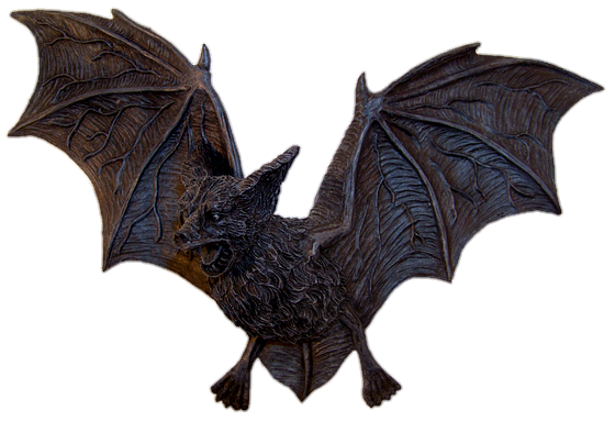 Animated Bat Png