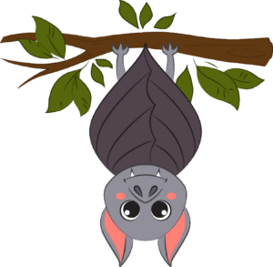 Upside Down Bat Png