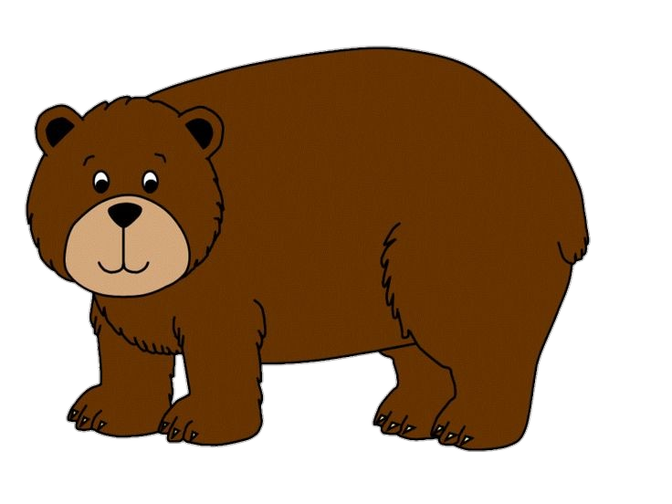 Bear-13