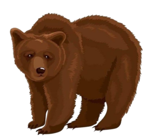 Bear-14