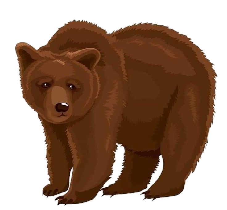 Bear-14