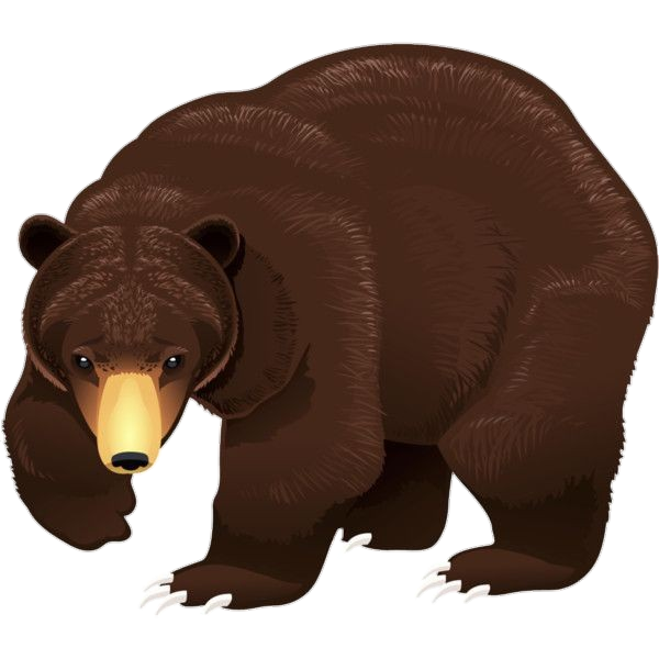 Animated Bear Png
