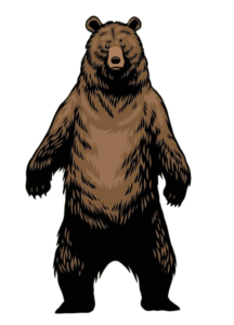 Bear-23