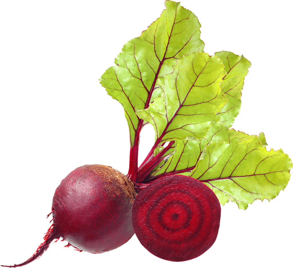 High Resolution Beetroot png