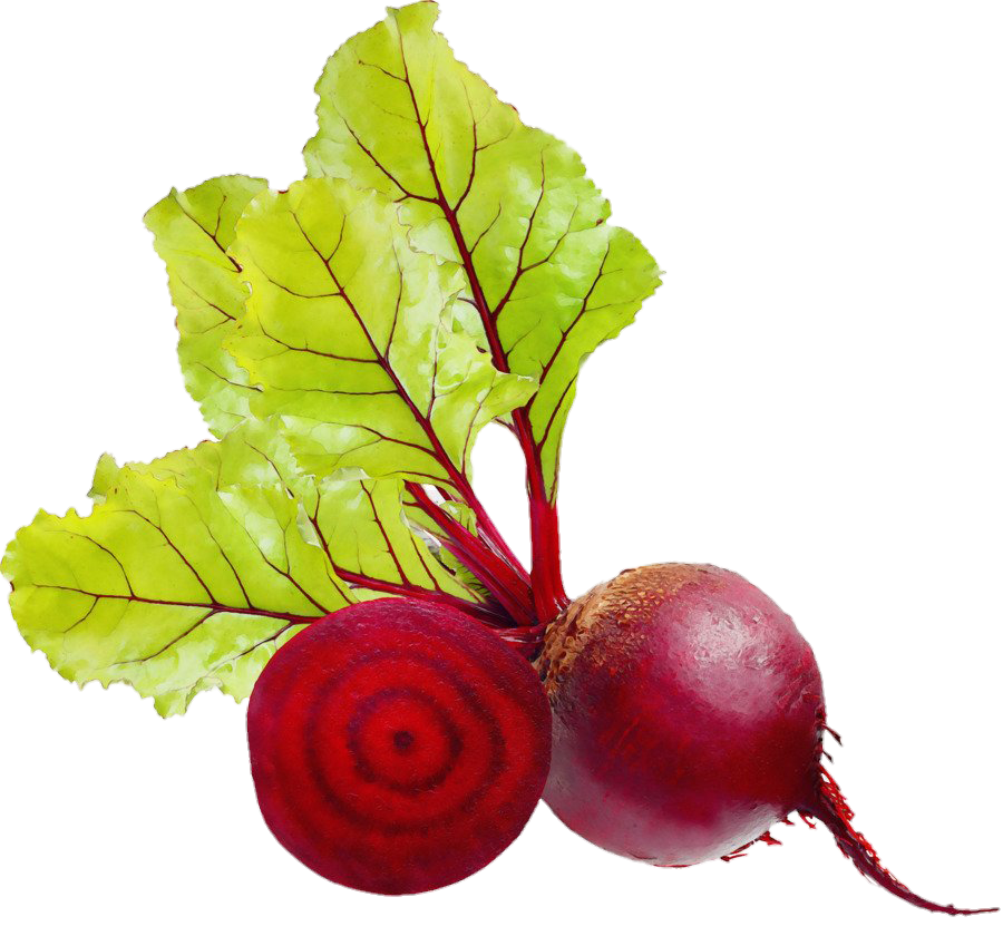 Beetroot high resolution png