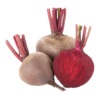 Beetroot Png Image