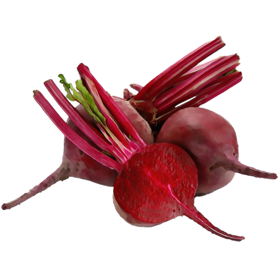 Beetroot clipart png