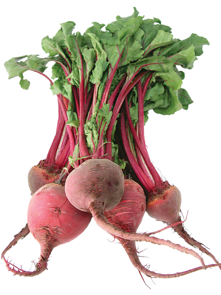 Beetroot vegetable png