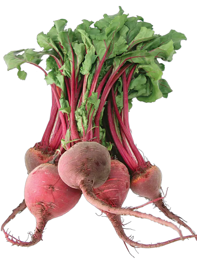 Beetroot vegetable png