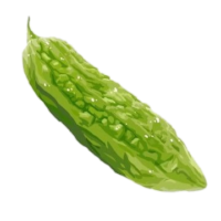 Bitter Gourd Png image