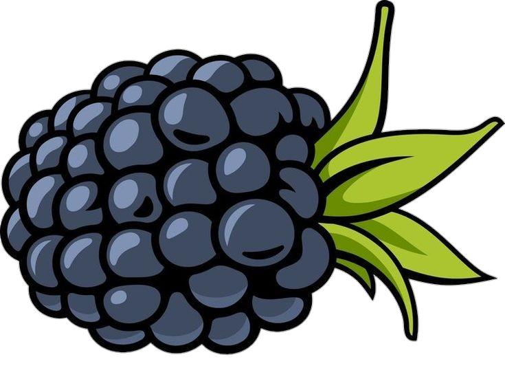Blackberry Fruit Vector Png
