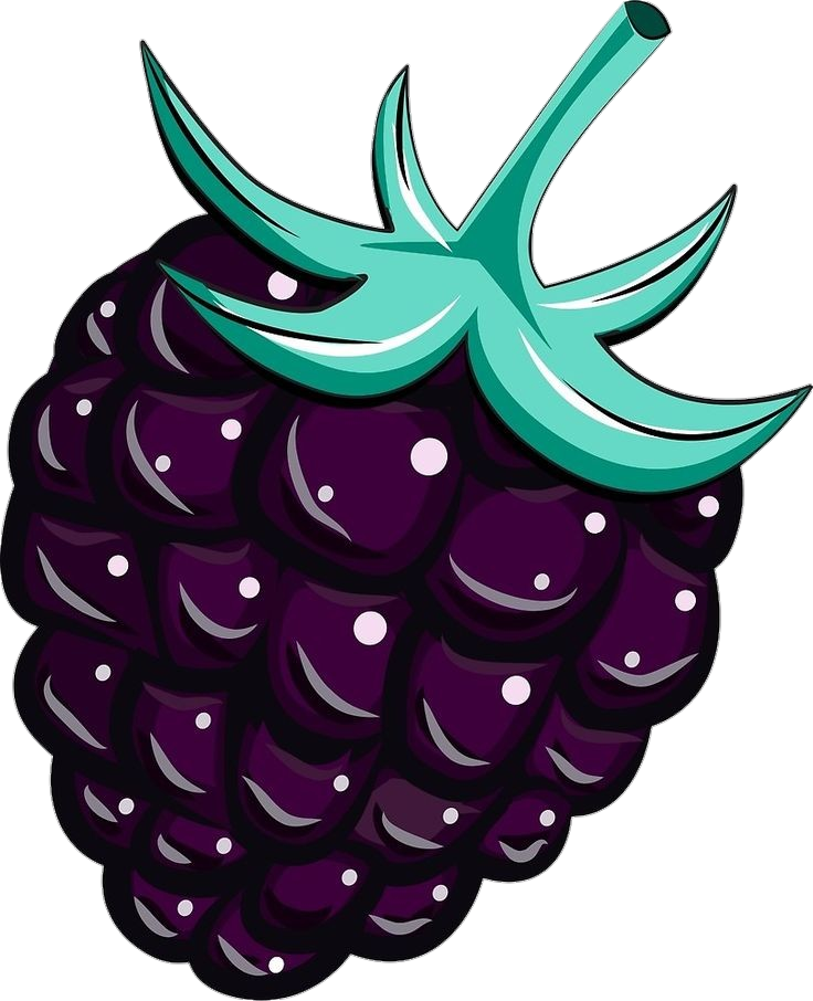 Blackberry Fruit Clipart Png