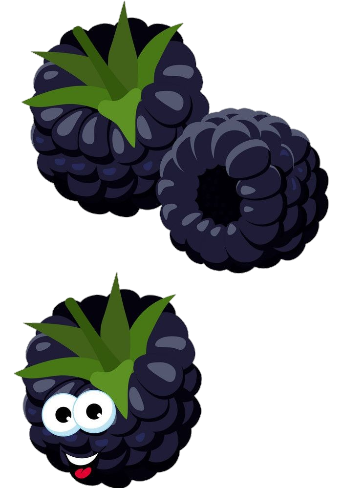 Blackberries Fruit vector Png