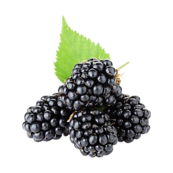 Real Blackberry Fruit Png