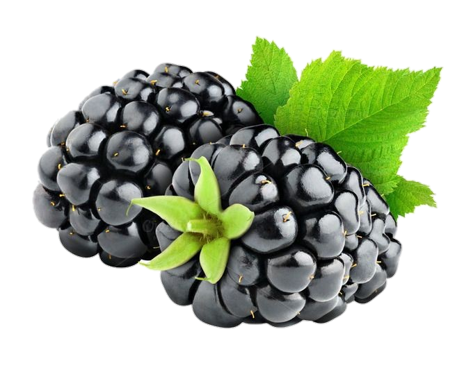 Blackberry Fruit Illustration Png