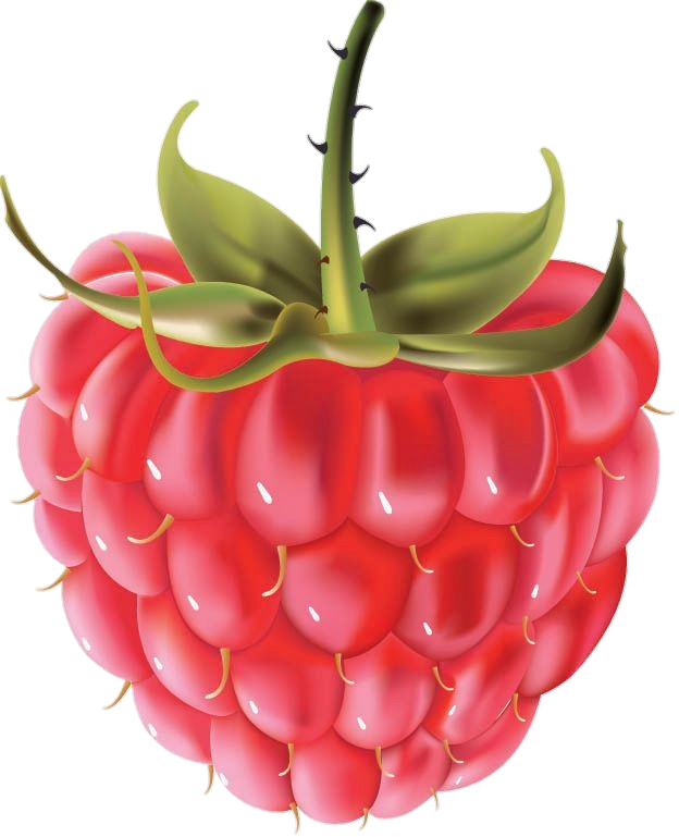 Pink Blackberry Fruit Png