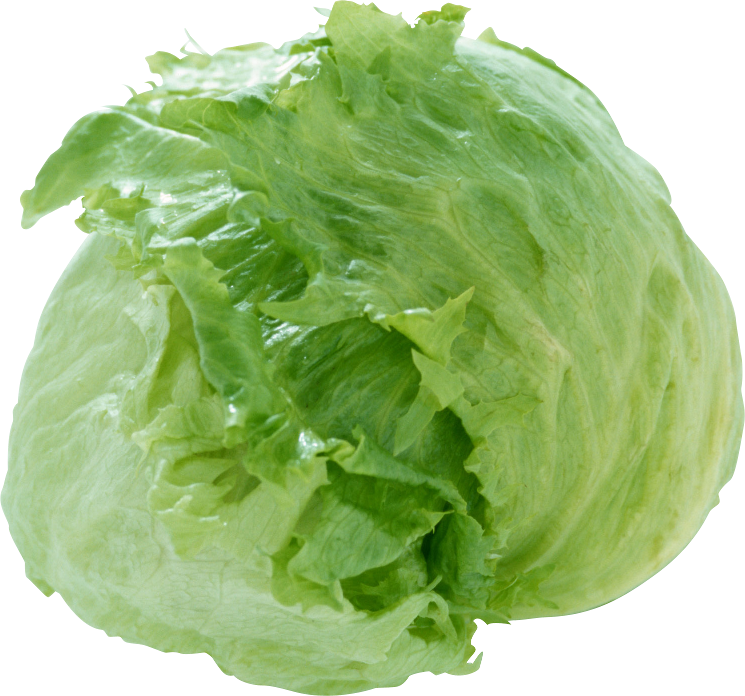 Cabbage-1
