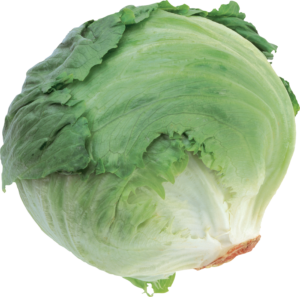 Cabbage-12