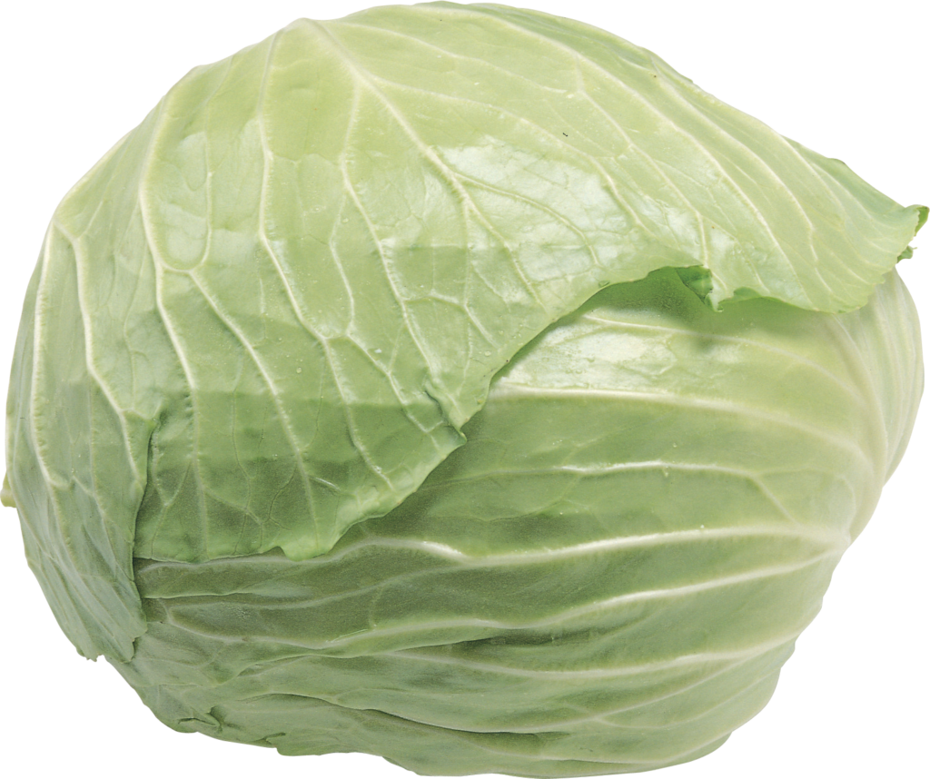 Transparent Cabbage Png