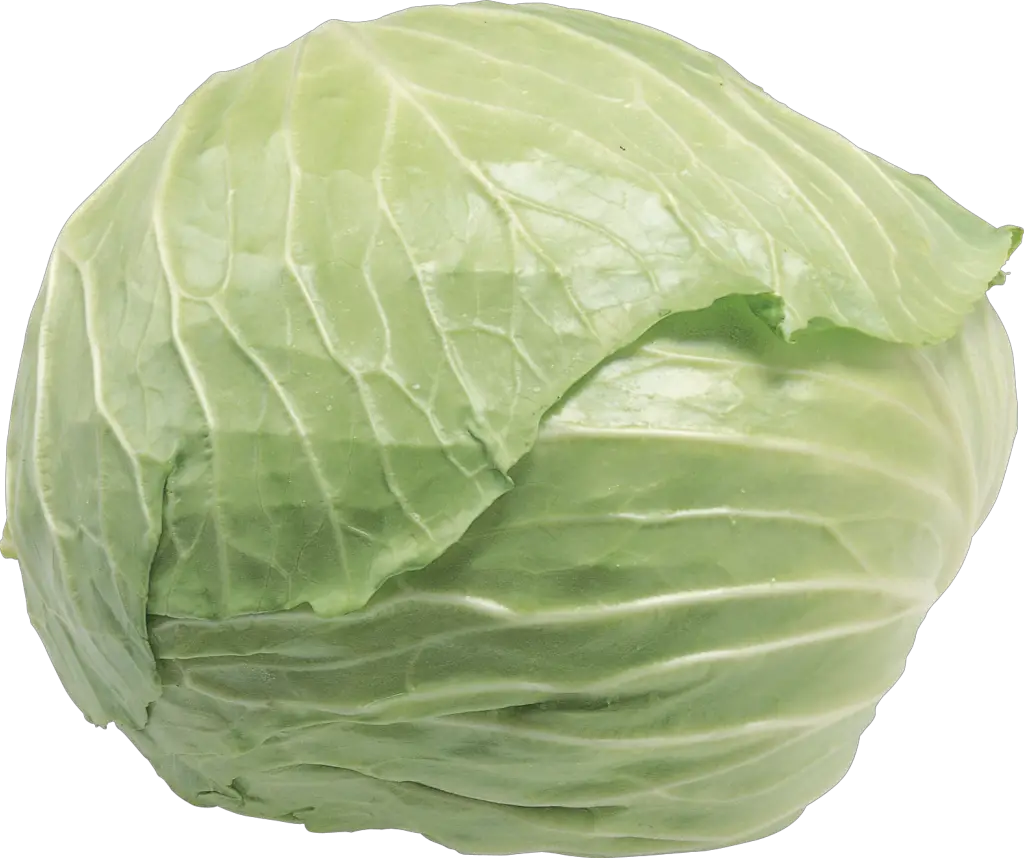 Transparent Cabbage Png