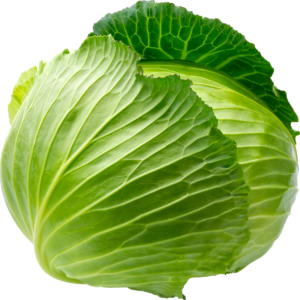Cabbage-17