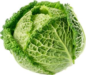Cabbage-18