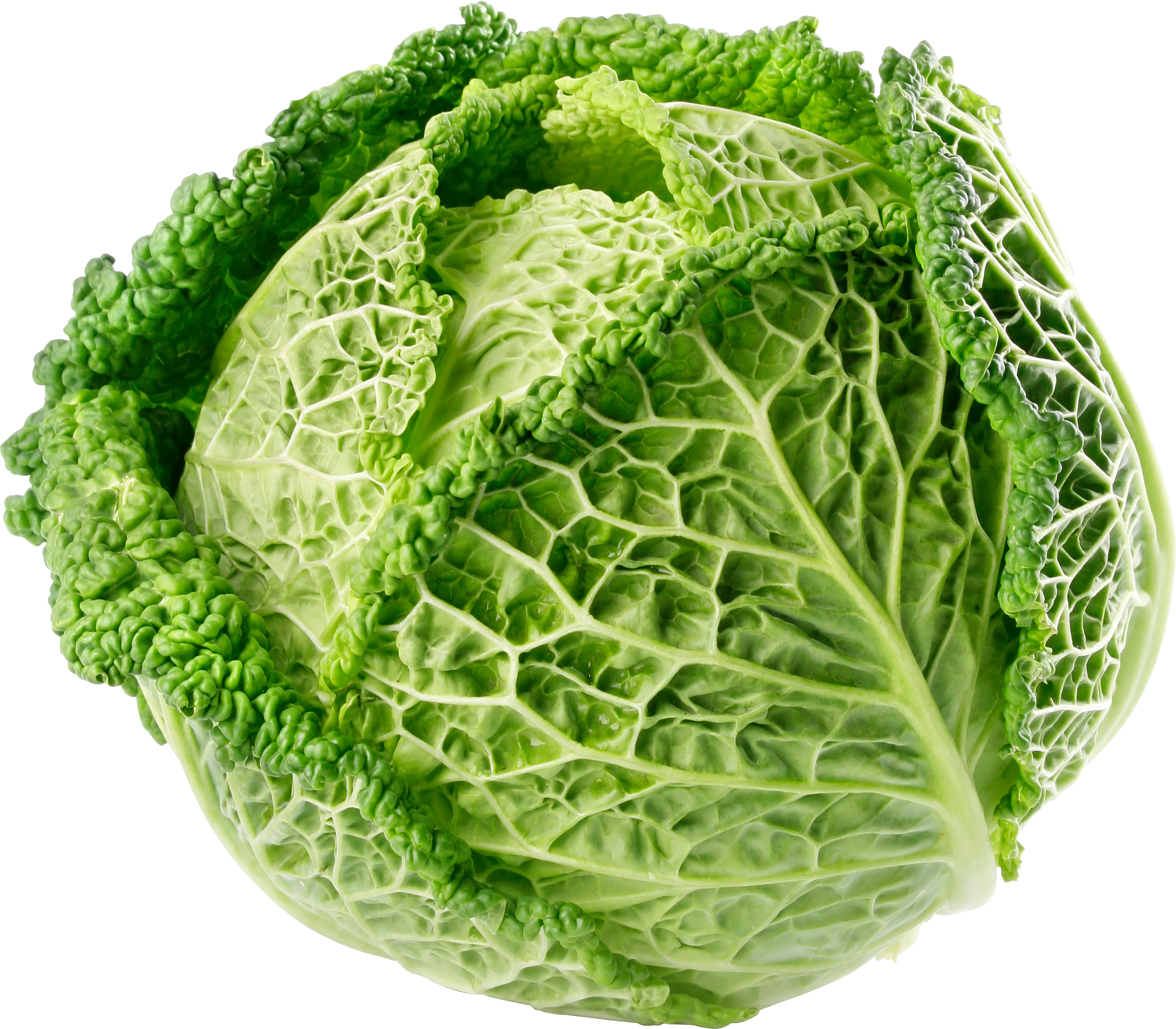 Cabbage-18