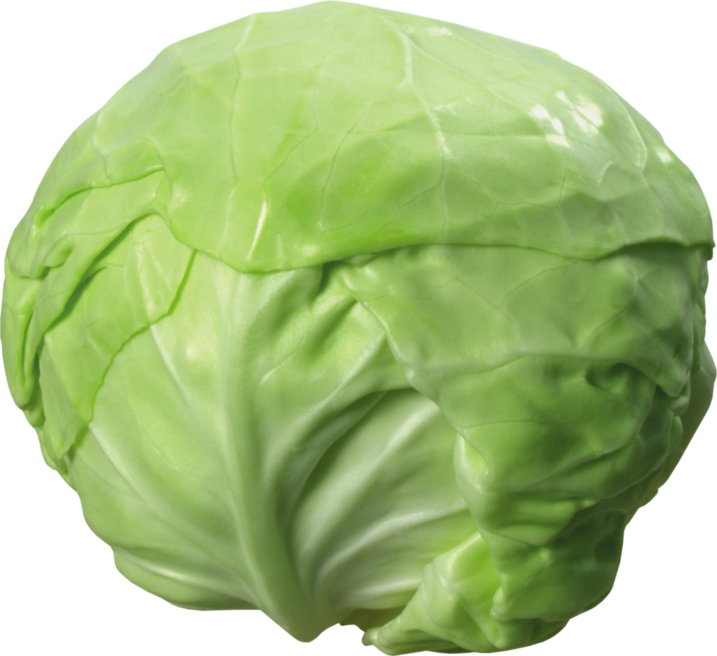 Single Cabbage Png