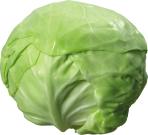 Cabbage-20