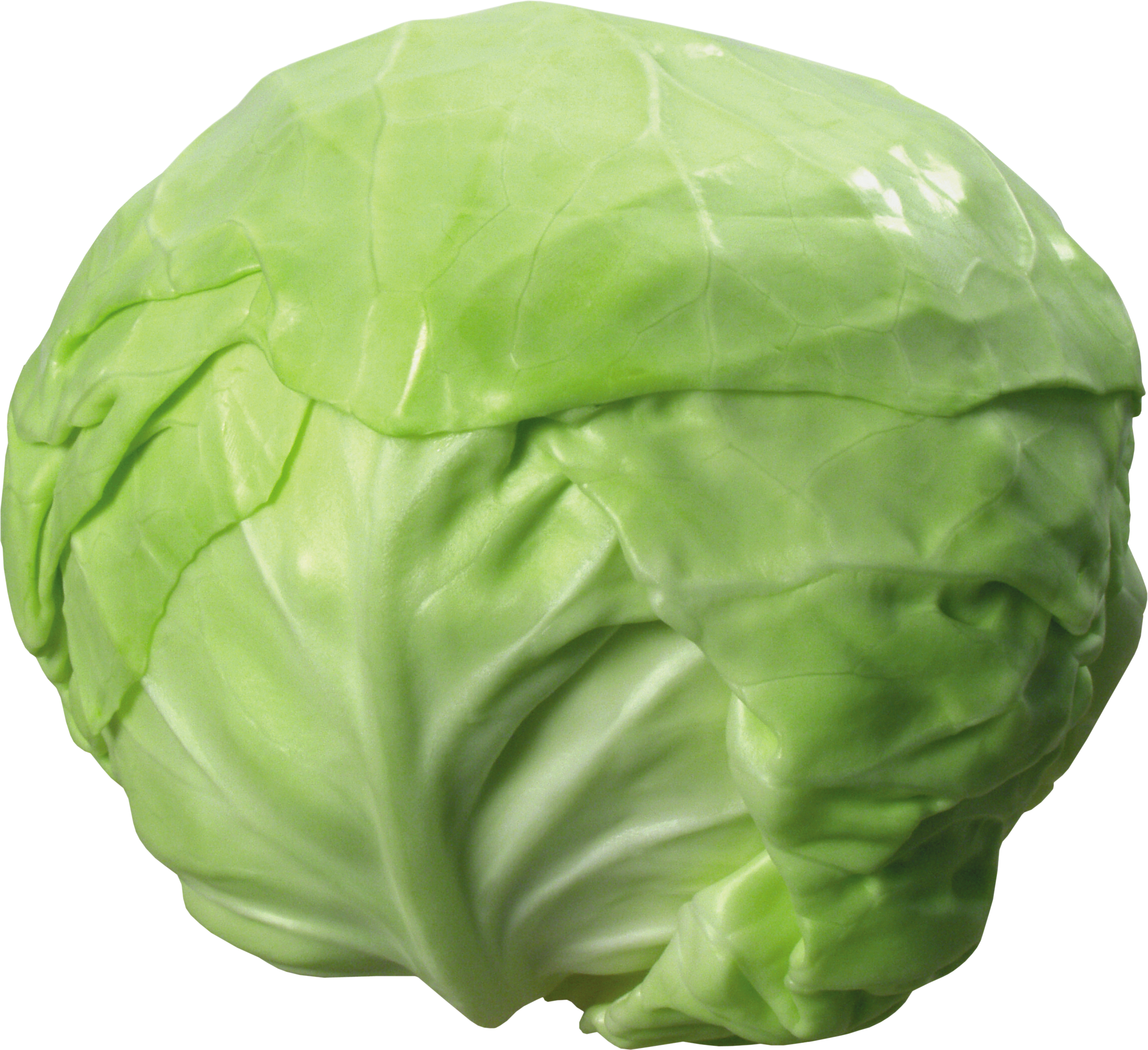 Cabbage-20