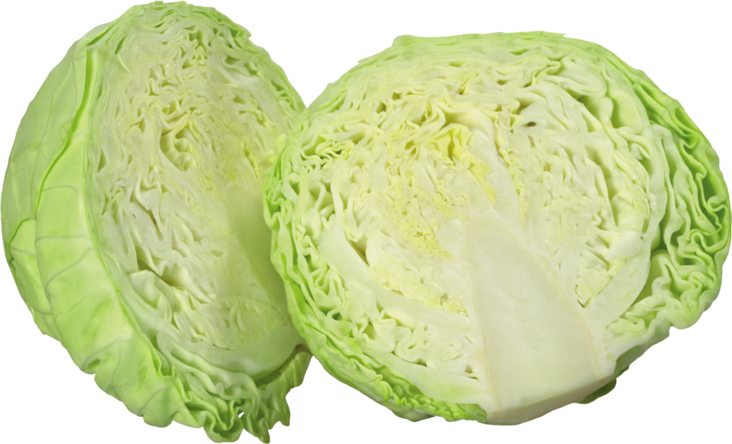 Half Cabbage Png
