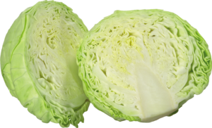 Cabbage-21